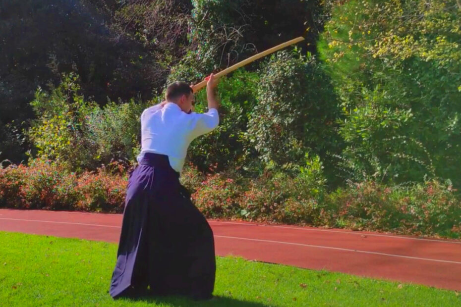 Aikido Terimleri Sözlüğü (ATS) Videoları